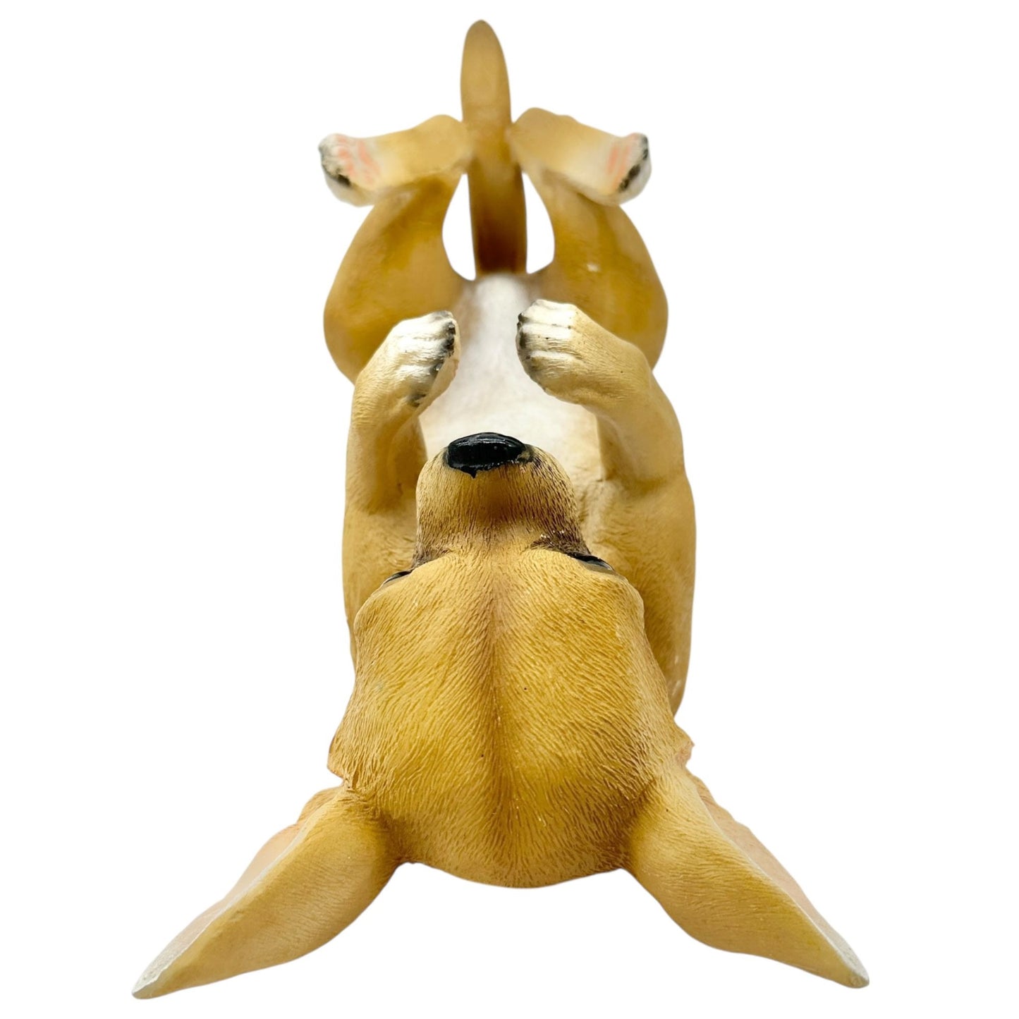 Chihuahua Wine Bottle Holder By DWK Corporation Brown White 12 x 5.5 inches