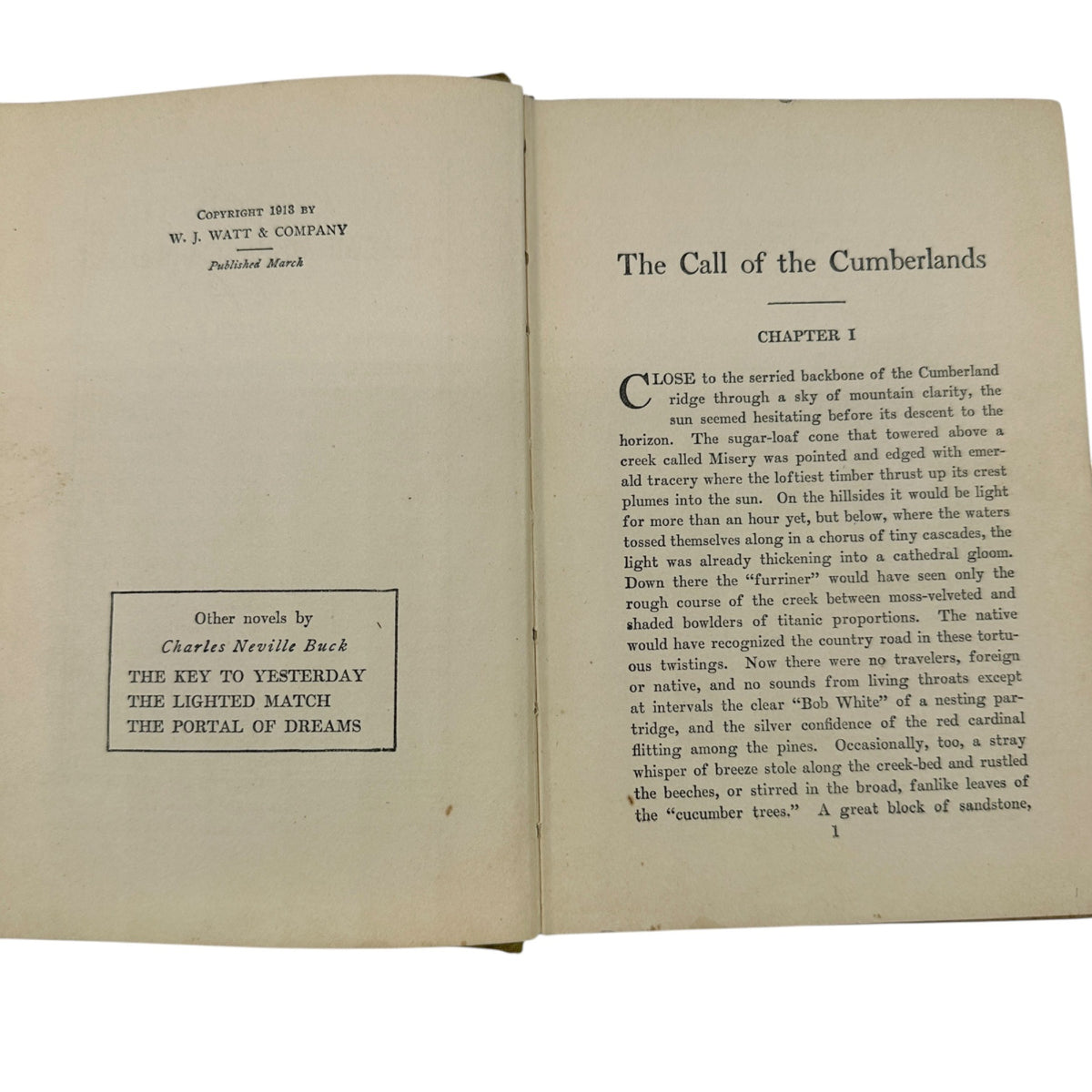 The Call of the Cumberlands by Charles Neville Buck 1913 Hardcover Book Antique