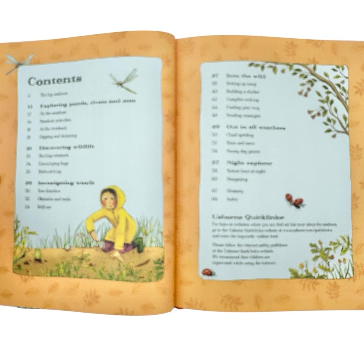 The Usborne Outdoor Book (2017, Hardcover) Fun Outdoor Activities for Kids