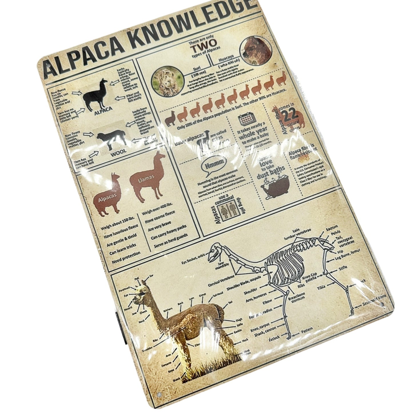 Metal Sign 12x8 Alpaca Knowledge Information Sign Reference Guide