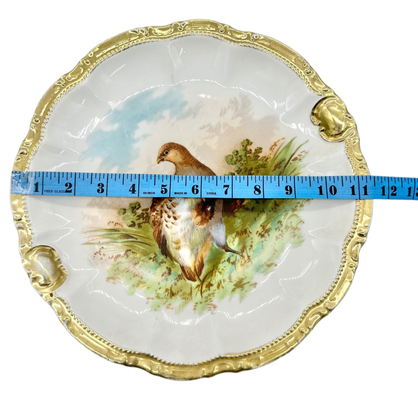 Antique Bavarian Porcelain Plate Bird Design Gold Trim 11.5 inch Hanging Holes