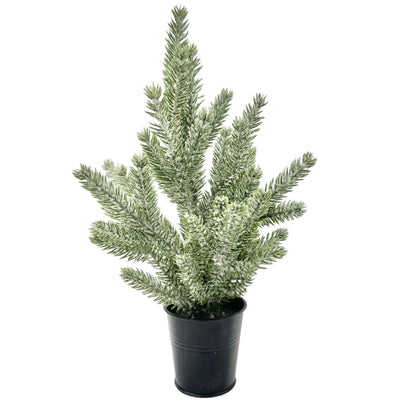 Frosted Miniature Pine Tree In Black Pot Artificial Winter Decor 12"H Christmas