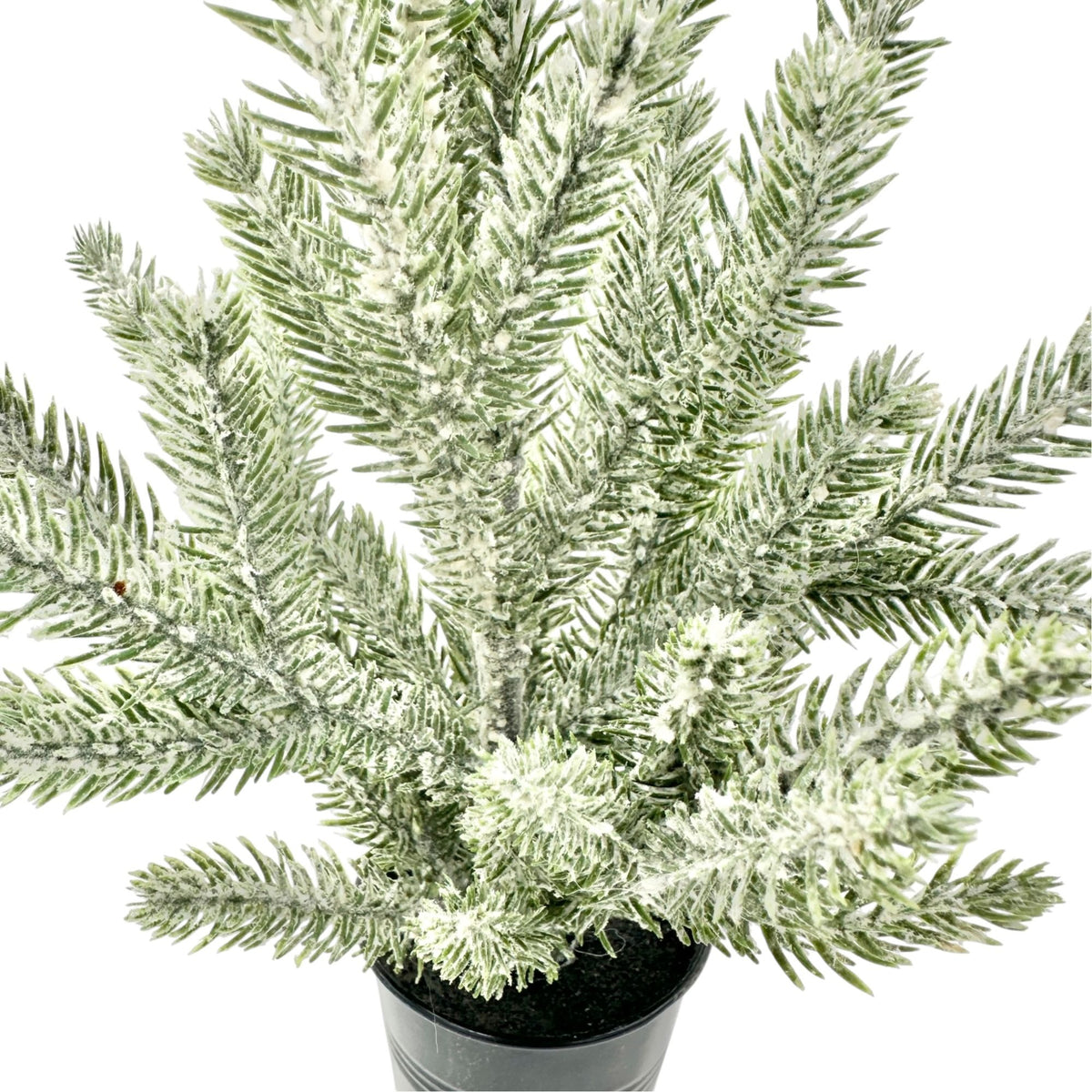 Frosted Miniature Pine Tree In Black Pot Artificial Winter Decor 12"H Christmas