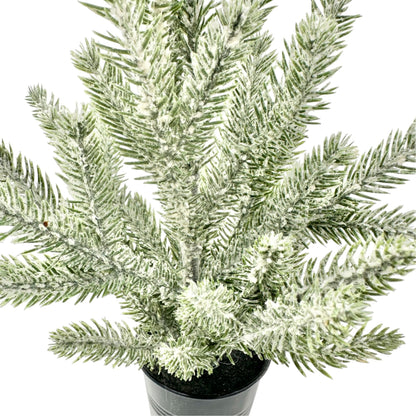 Frosted Miniature Pine Tree In Black Pot Artificial Winter Decor 12"H Christmas