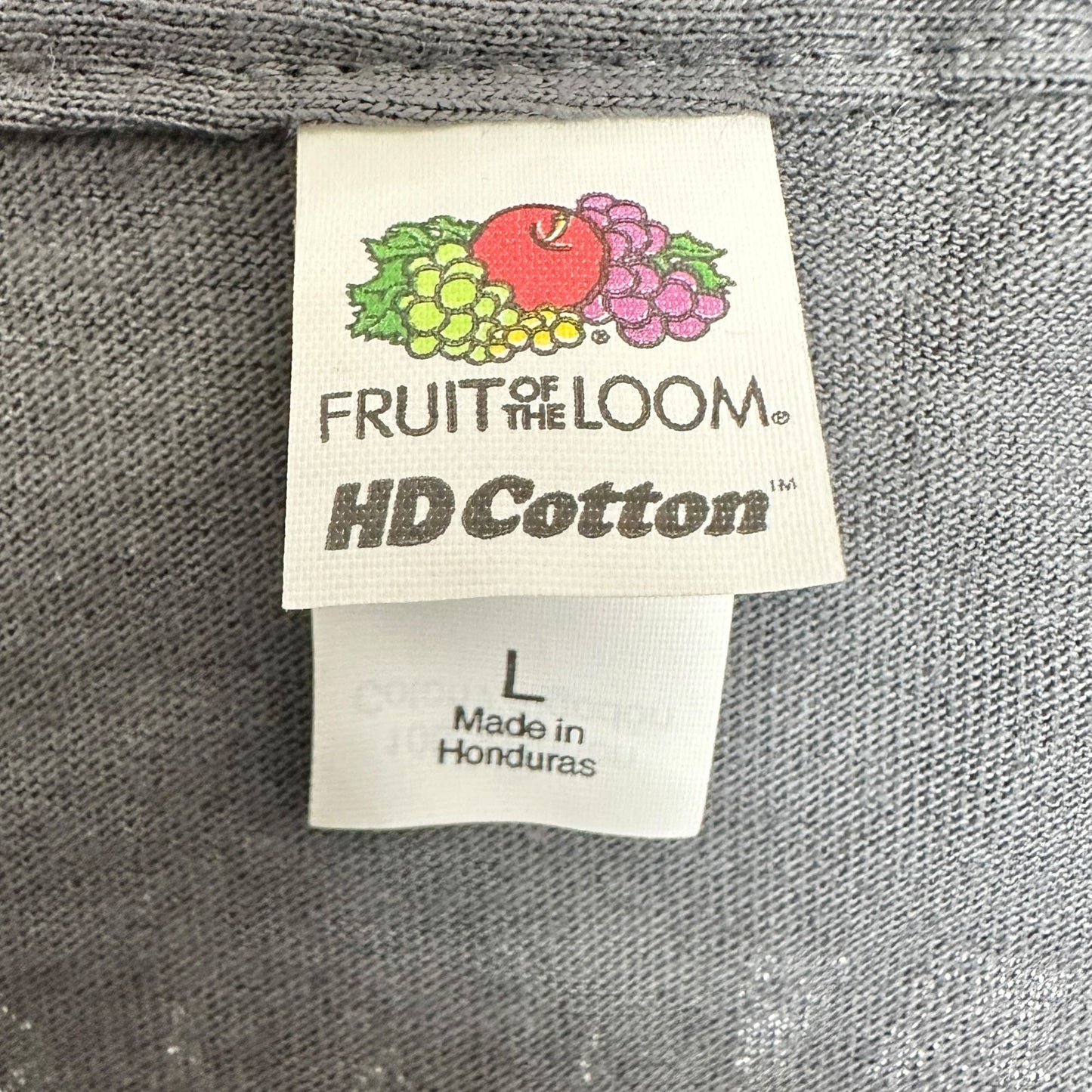 Fruit Of The Loom T-Shirt Unisex L AAAS Diversity Gray HD Cotton Short Sleeves