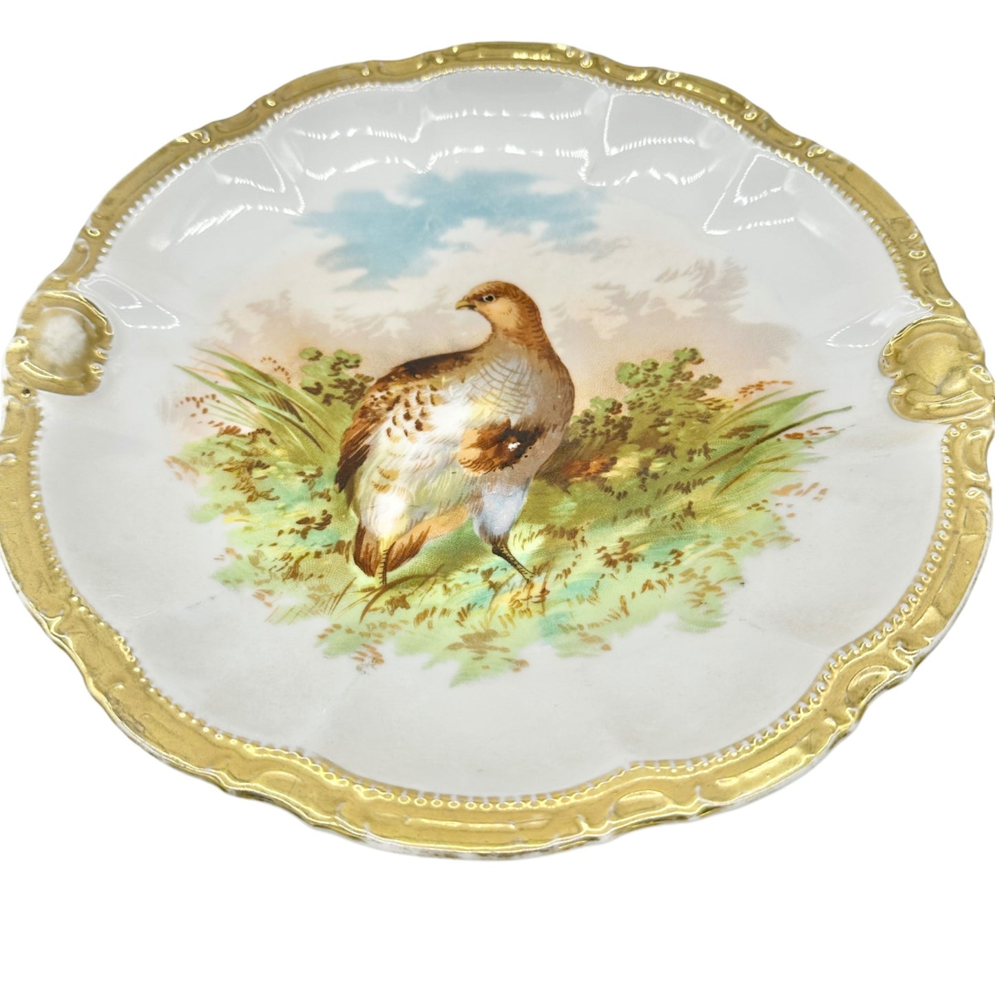 Antique Bavarian Porcelain Plate Bird Design Gold Trim 11.5 inch Hanging Holes