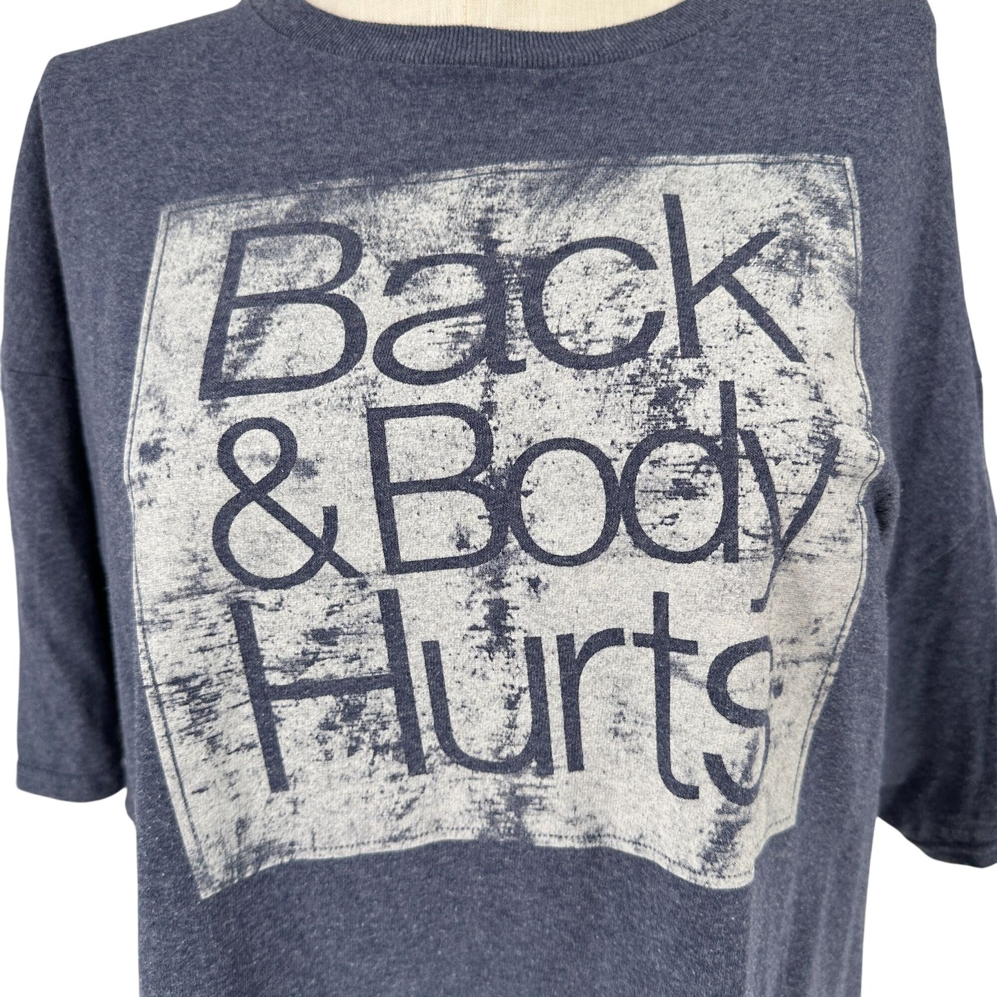 Back and Body Hurts Graphic Tee 2XL Blue Cotton Blend Delta Pro Weight Unisex