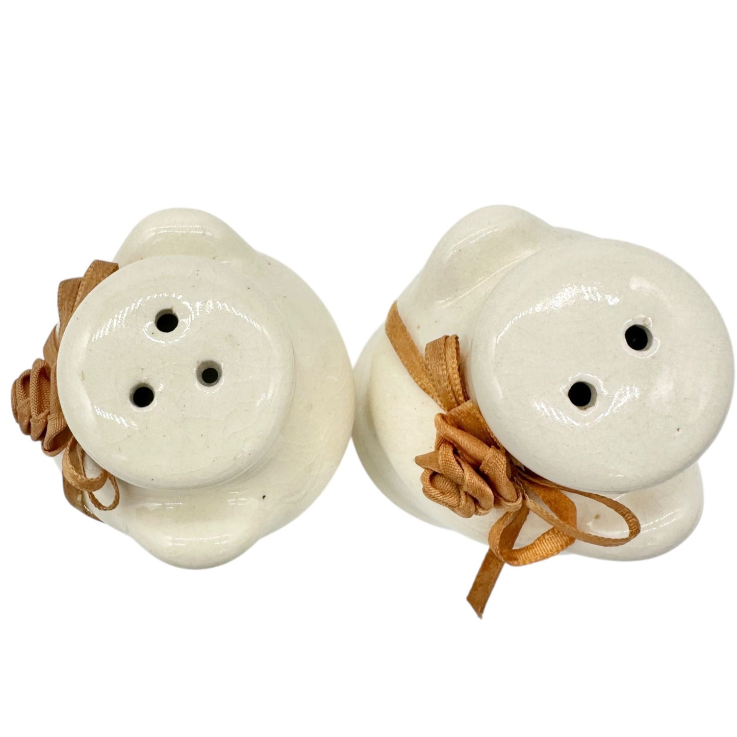 Vintage Ceramic Salt and Pepper Shakers Ribbon Rose Design Creamy Glaze Finish