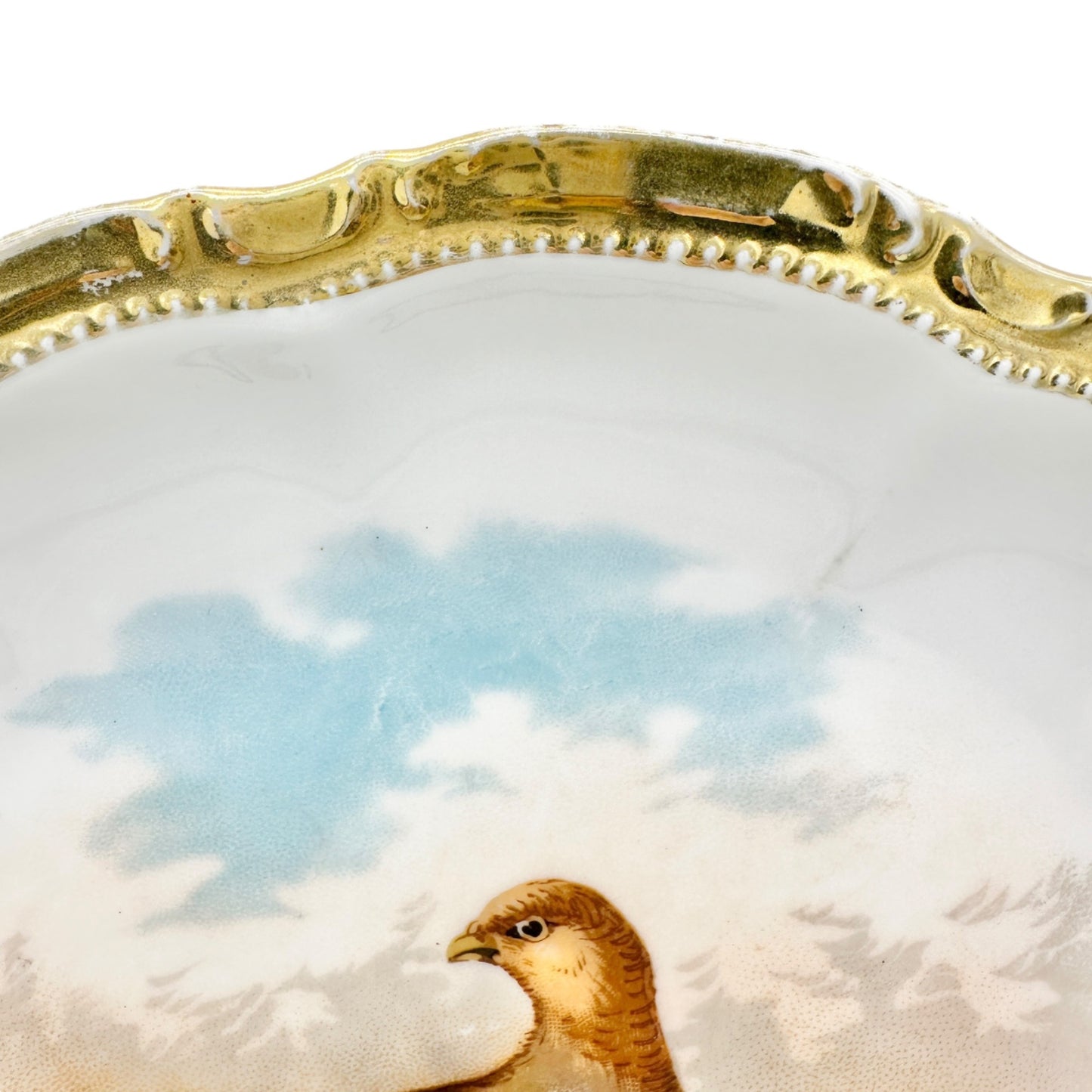 Antique Bavarian Porcelain Plate Bird Design Gold Trim 11.5 inch Hanging Holes