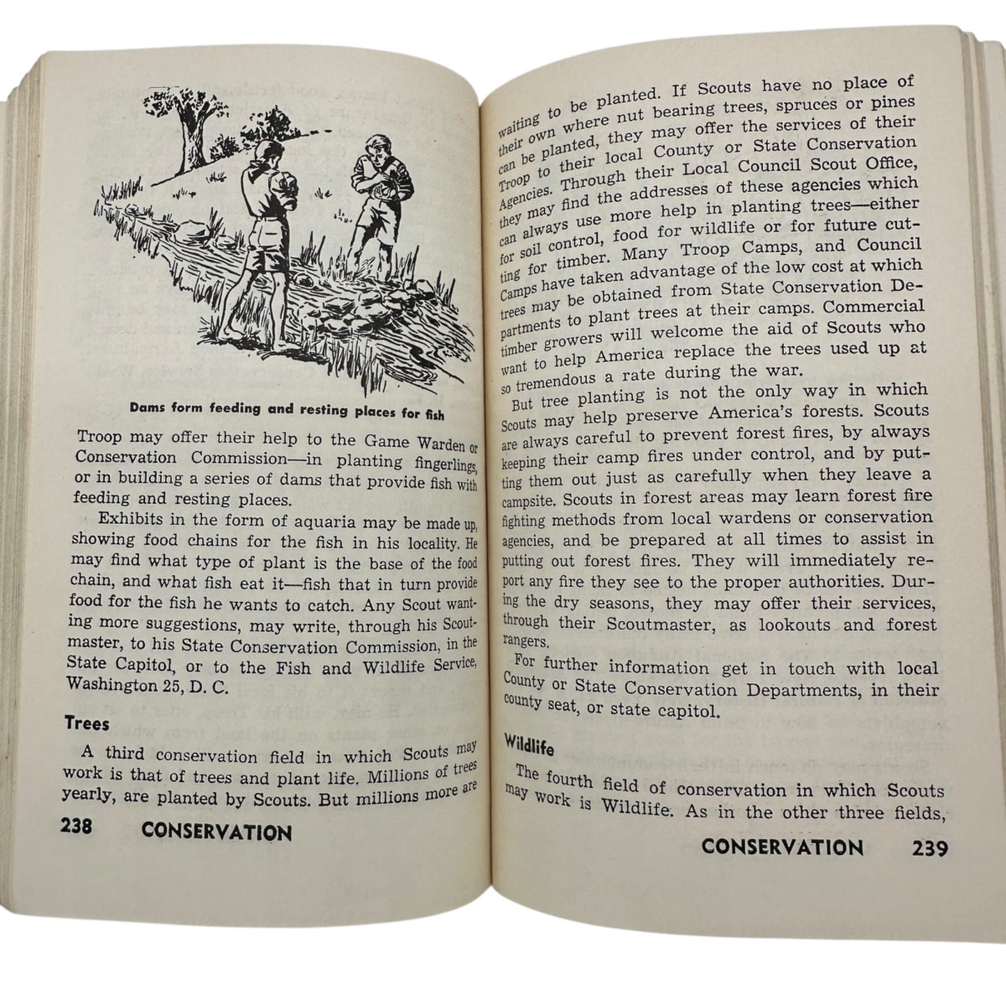 Boy Scouts of America 1954 Handbook For Boys Vintage Paperback Scouting