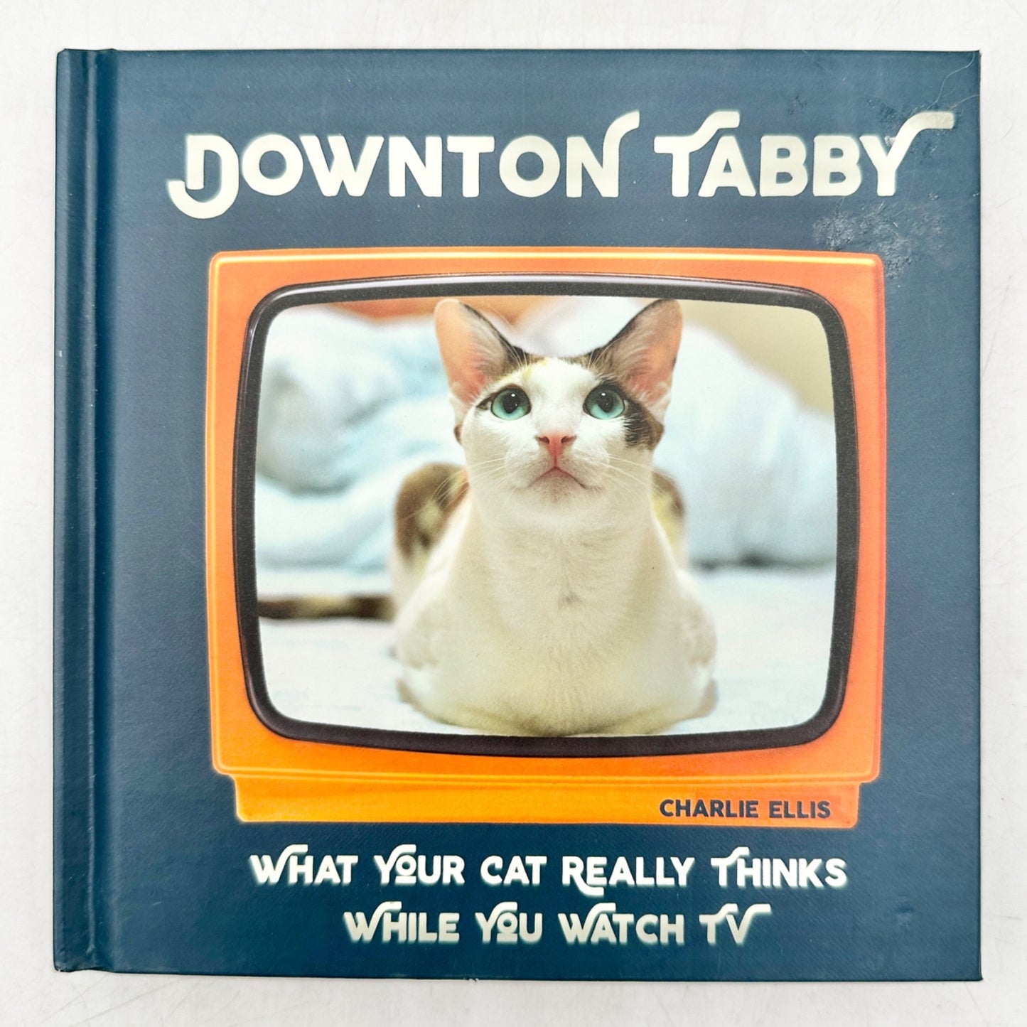Downton Tabby What Your Cat Really Thinks While You Watch TV Hardcover Book