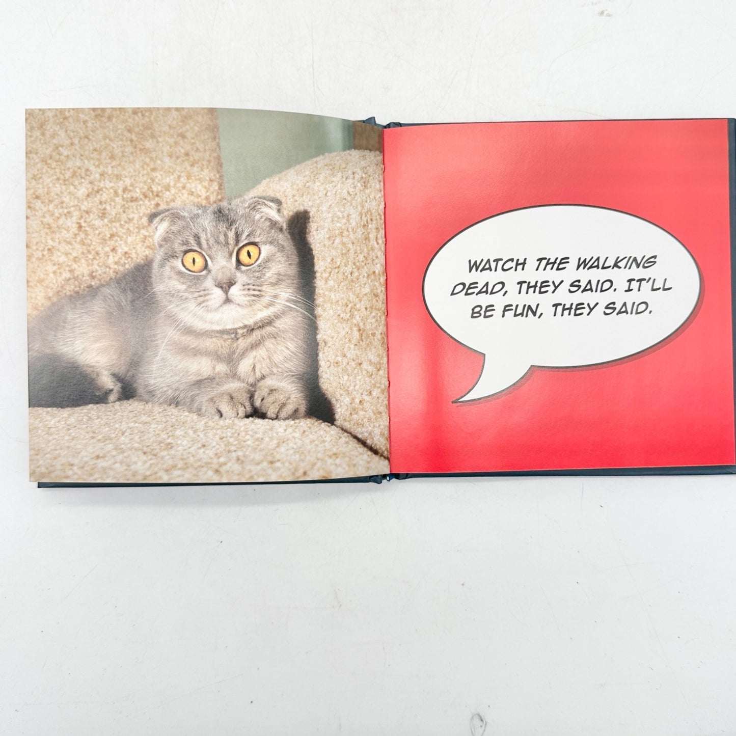 Downton Tabby What Your Cat Really Thinks While You Watch TV Hardcover Book