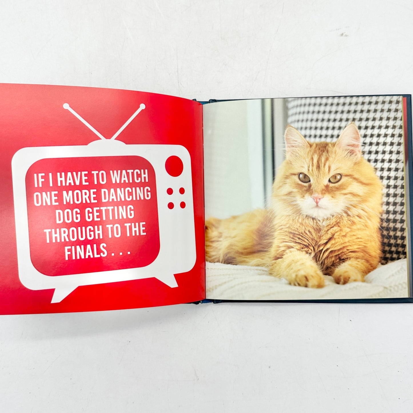 Downton Tabby What Your Cat Really Thinks While You Watch TV Hardcover Book