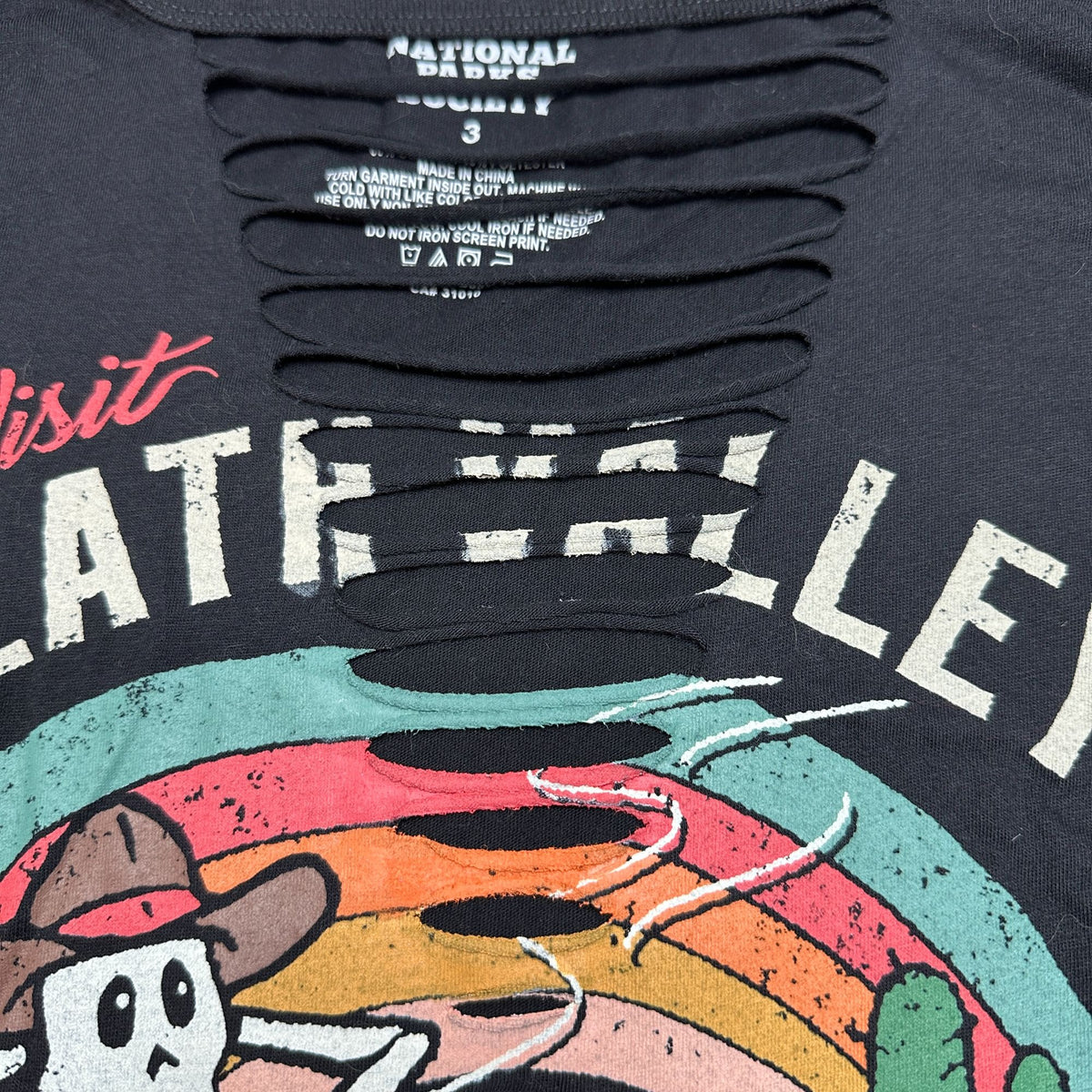 Death Valley National Park Graphic Tee Ladder Cutout 3X Natl Park Society Torrid