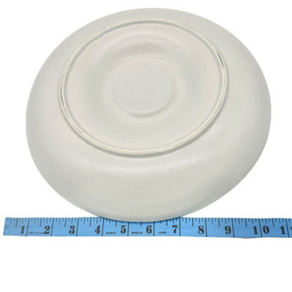 Chip N Dip Platter 11 Inch White With Blue Trim Pottery Dip Bowl Not Included