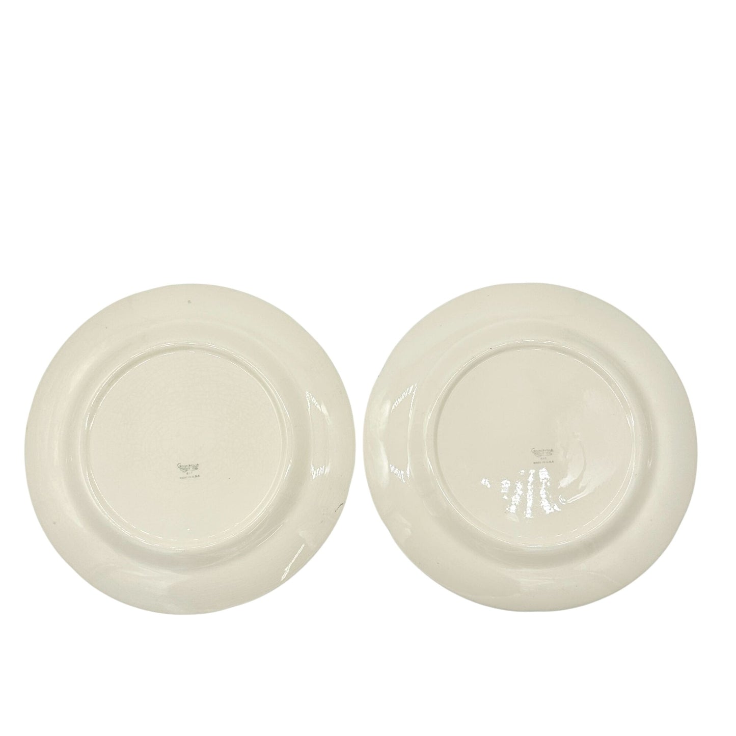 Crooksville China Co Set of 2 Plates 10 inch Cream Gold Trim Blue Pink Florals