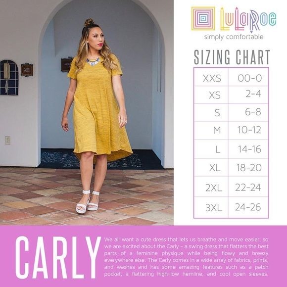 LuLaRoe Retired Carly Bundle of 2 Small Dresses all NWT Multicolors