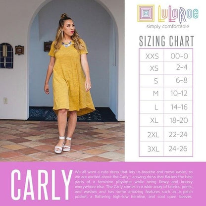 LuLaRoe Retired Carly Bundle of 2 Small Dresses all NWT Multicolors
