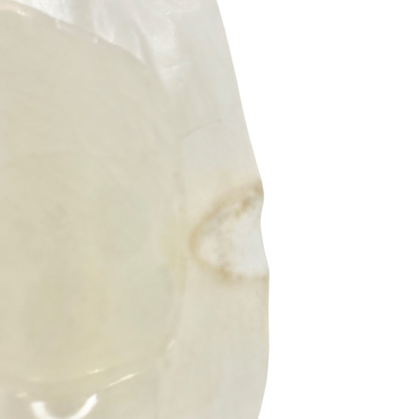 Tea Rose USA Floral Dinner Plates Set Of 2 Scalloped Edge Vintage Ceramic 10 in