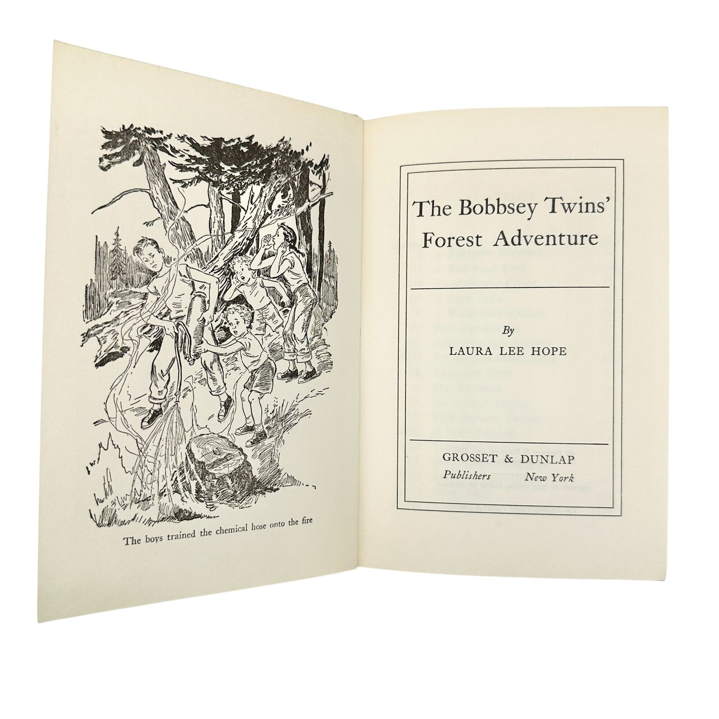The Bobbsey Twins Forest Adventure By Laura Lee Hope 1957 Hardcover Book Vintage