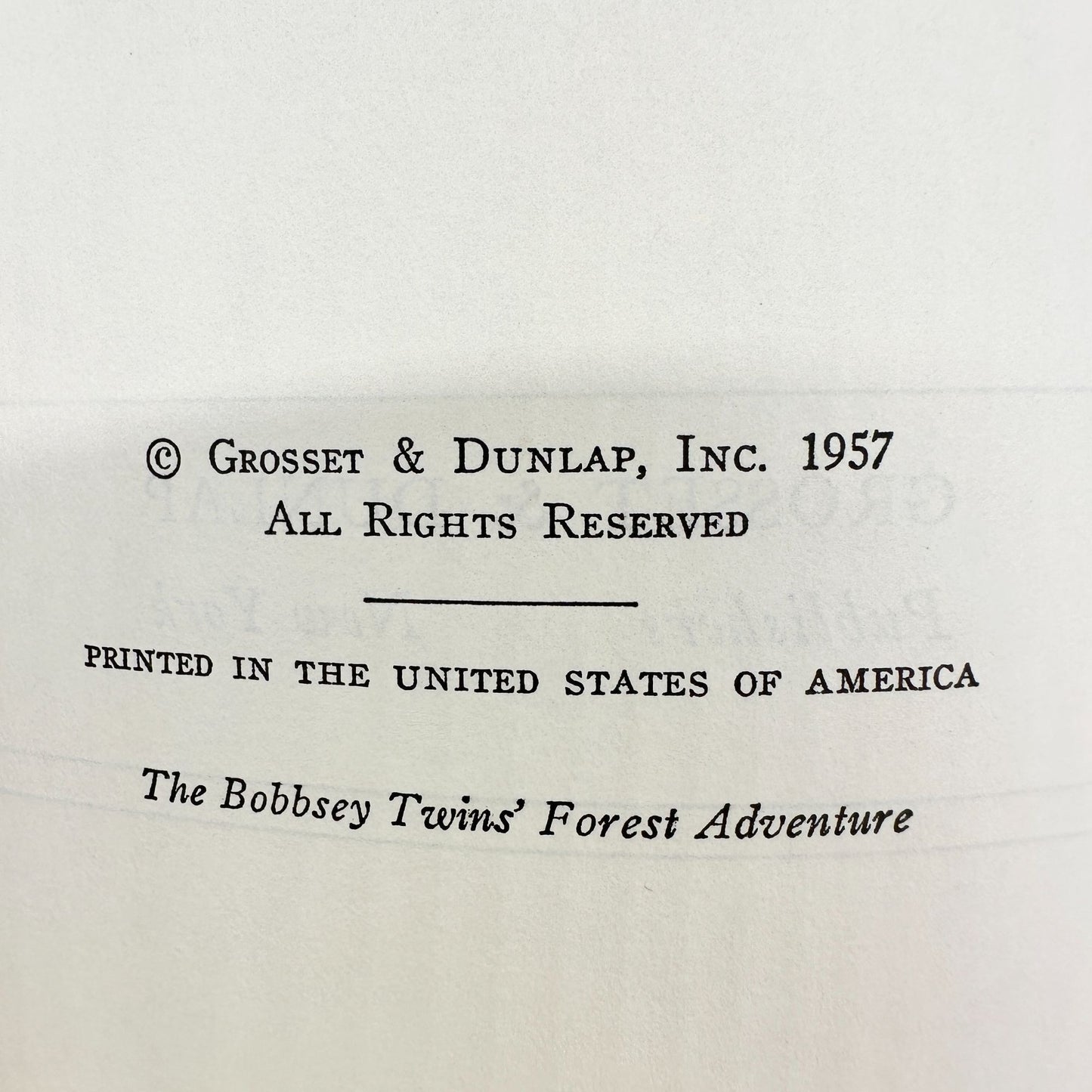 The Bobbsey Twins Forest Adventure By Laura Lee Hope 1957 Hardcover Book Vintage