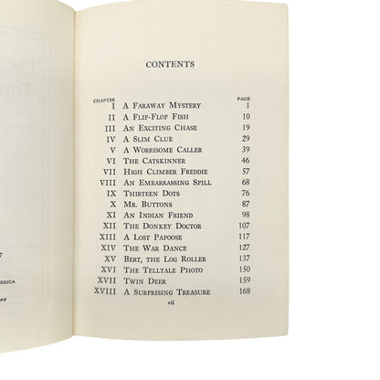 The Bobbsey Twins Forest Adventure By Laura Lee Hope 1957 Hardcover Book Vintage