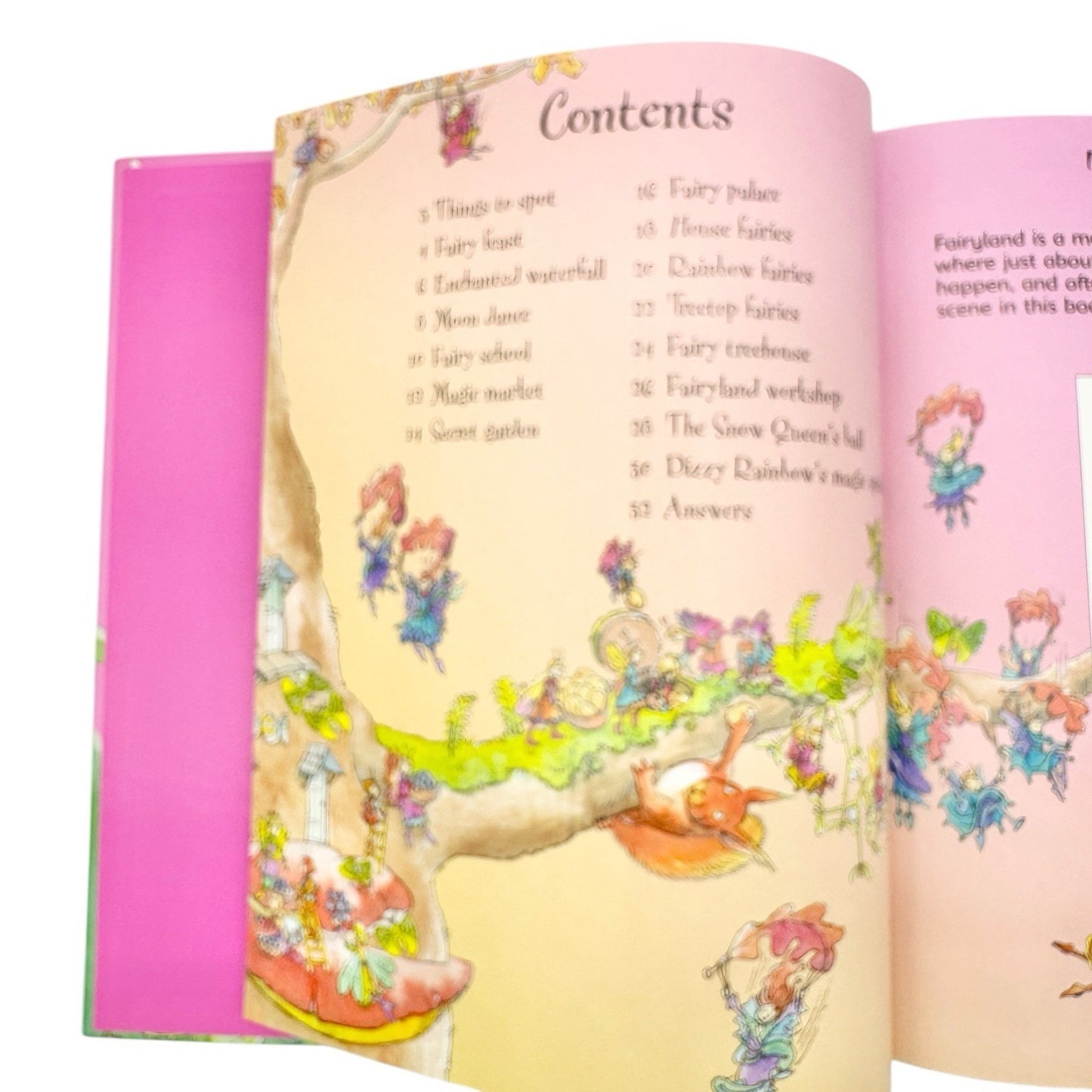 1001 Things to Spot in Fairyland by Gillian Doherty (2006, Hardcover) Usborne