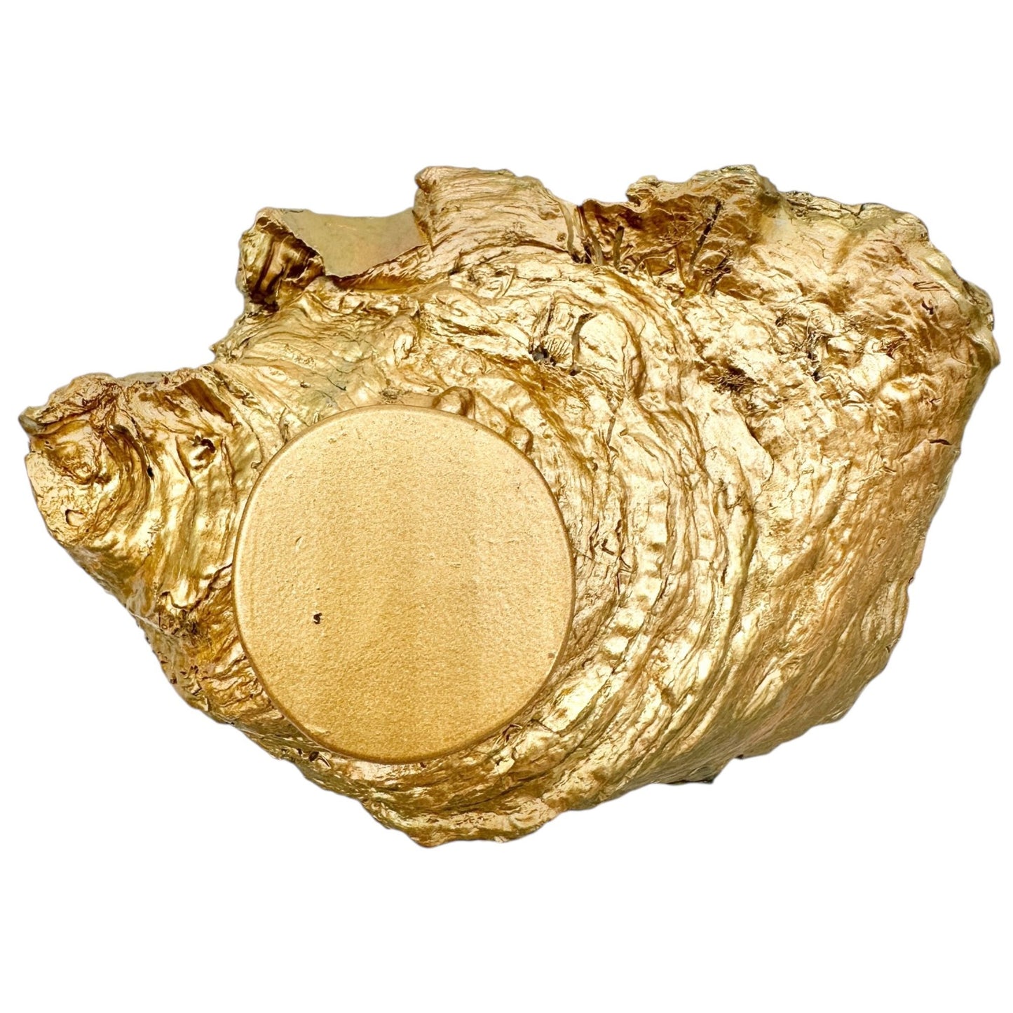 Grit and Grace Oyster Shell Trinket Dish Decor 5x3 The World is Your Oyster