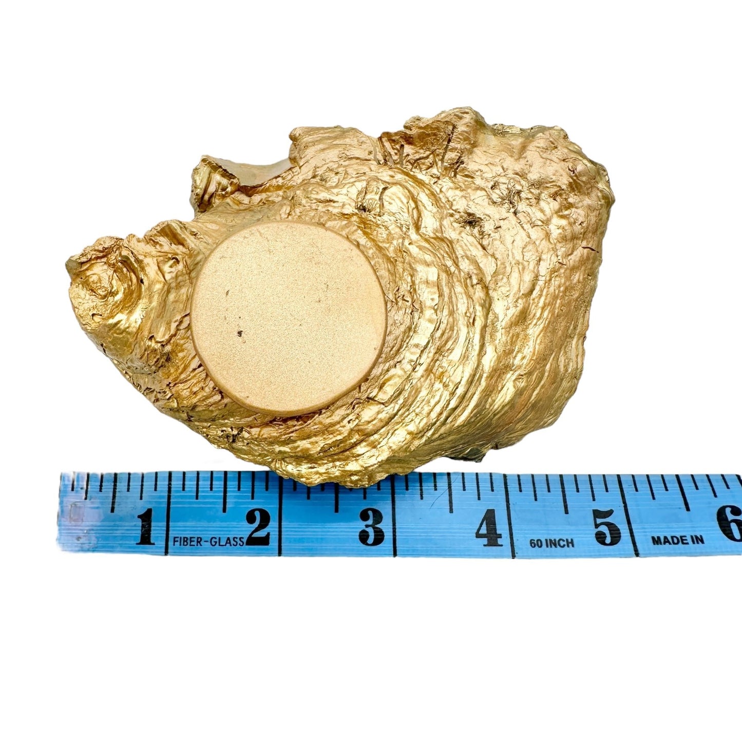 Grit and Grace Oyster Shell Trinket Dish Decor 5x3 The World is Your Oyster