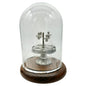 Antique Miniature Castor Set With Glass Cloche Dome and Wood Base