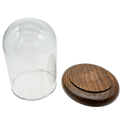 Antique Miniature Castor Set With Glass Cloche Dome and Wood Base