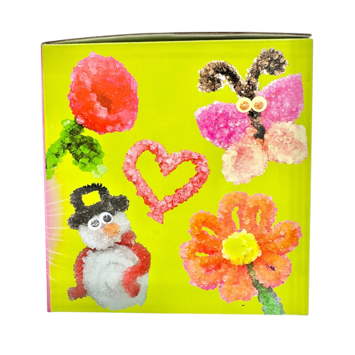 Crystal Flower Nightlight Kit With 11 Fun Kids Science Activities by Learn & Climb