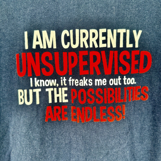 I Am Currently Unsupervised T-Shirt XL Blue w Red White Lettering Gildan