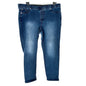 Kim Rogers Curvy Denim Jeans Womens 18WS Stretchy Blue Wash Comfort Fit