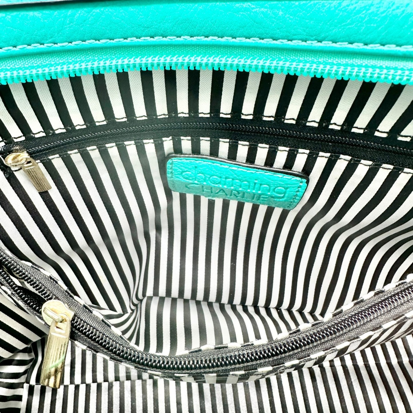 Charming Charlie Shoulder Bag Seafoam with Gold Chain Accents Striped Interior