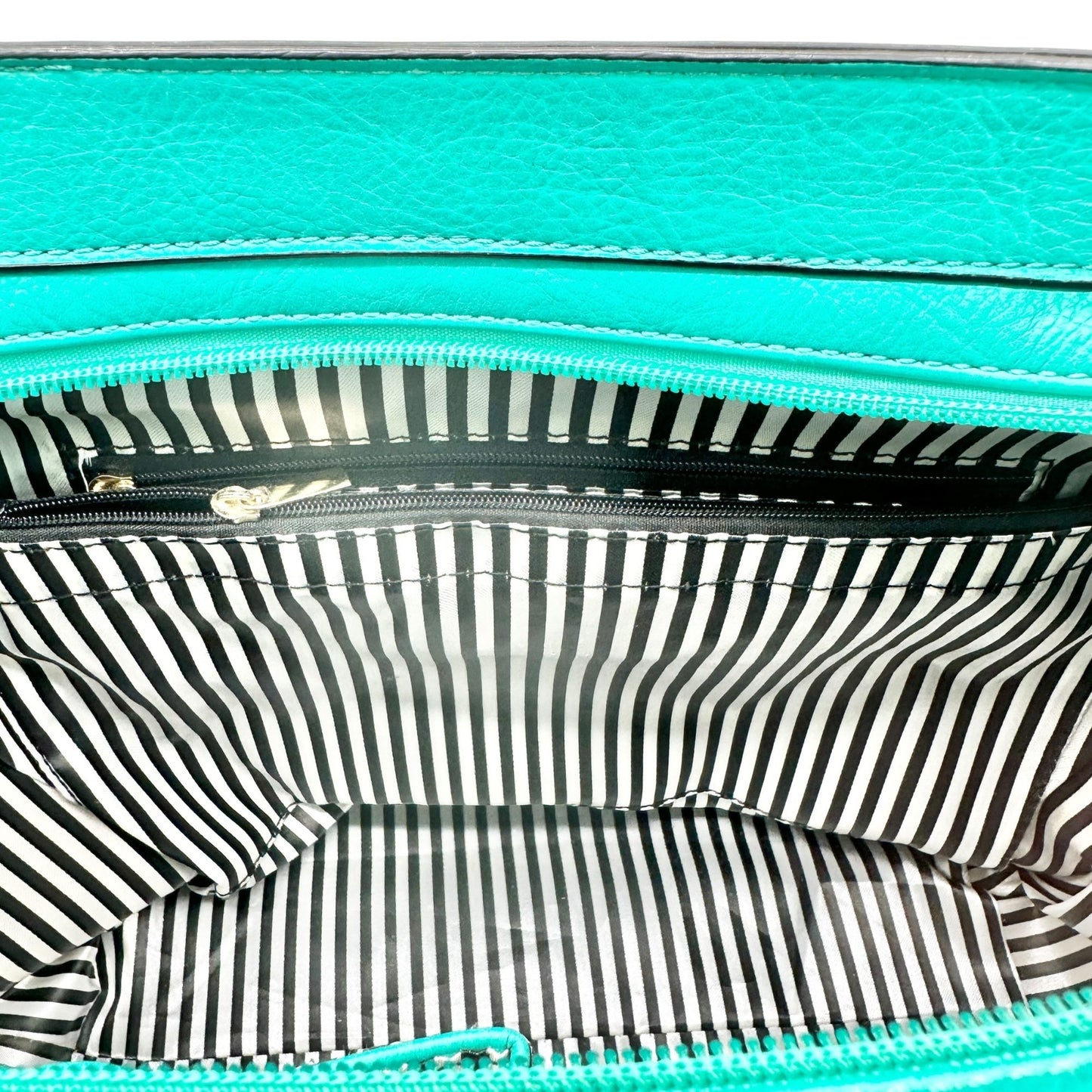 Charming Charlie Shoulder Bag Seafoam with Gold Chain Accents Striped Interior