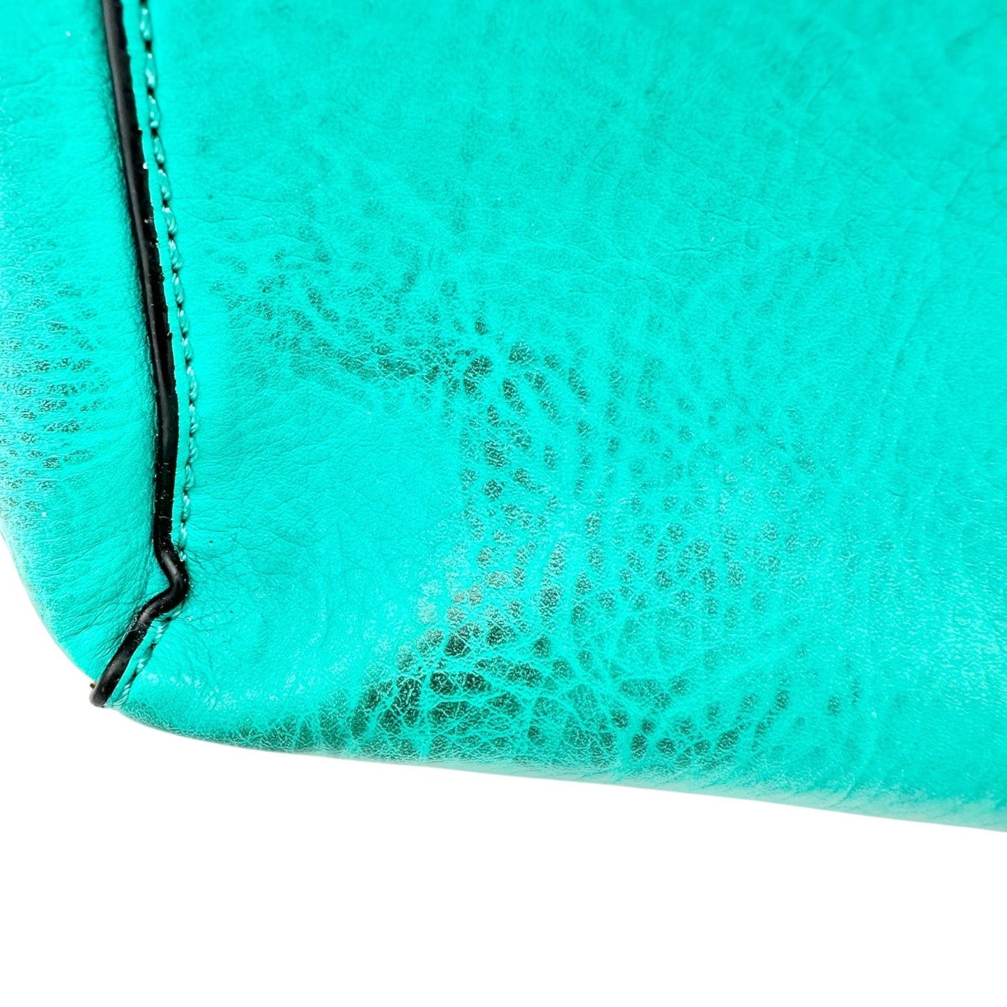 Charming Charlie Shoulder Bag Seafoam with Gold Chain Accents Striped Interior