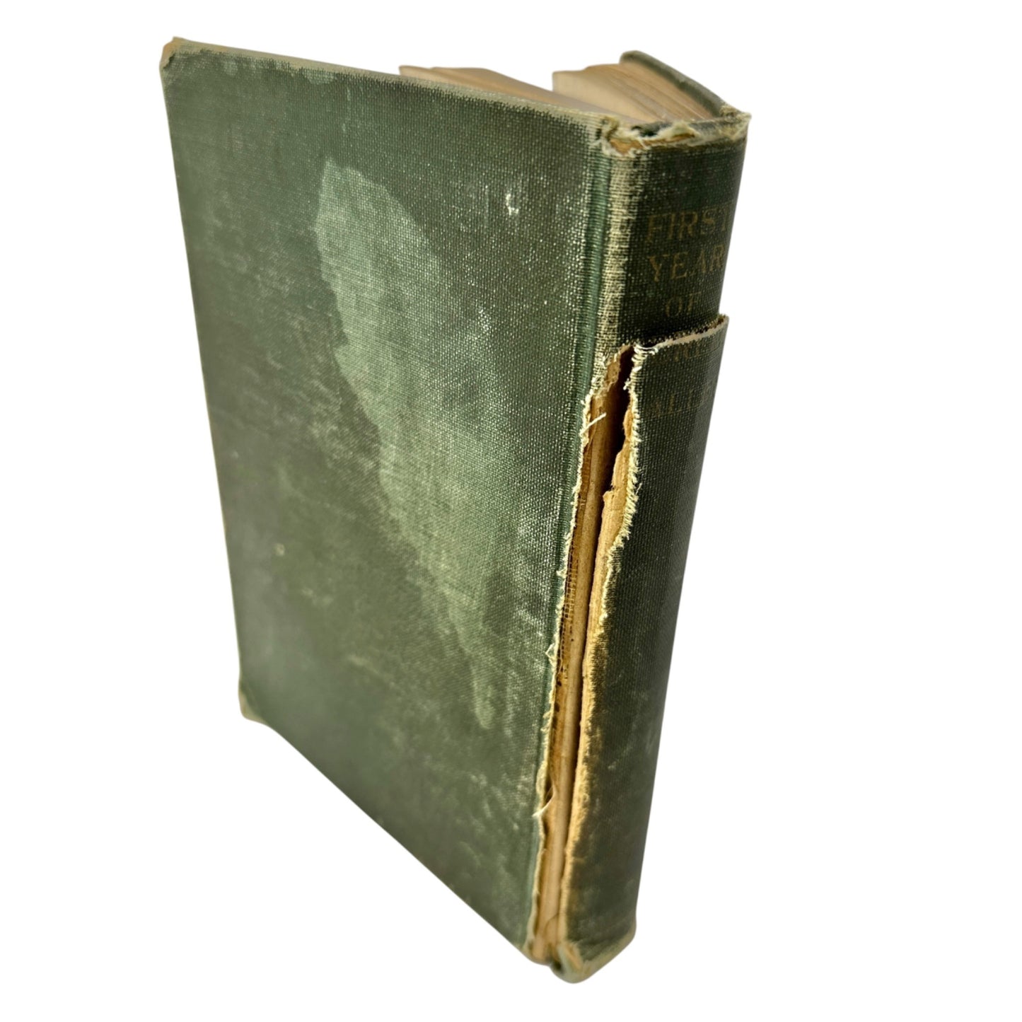 The First Year of Greek by James Turney Allen PhD 1921 Hardcover Book Antique