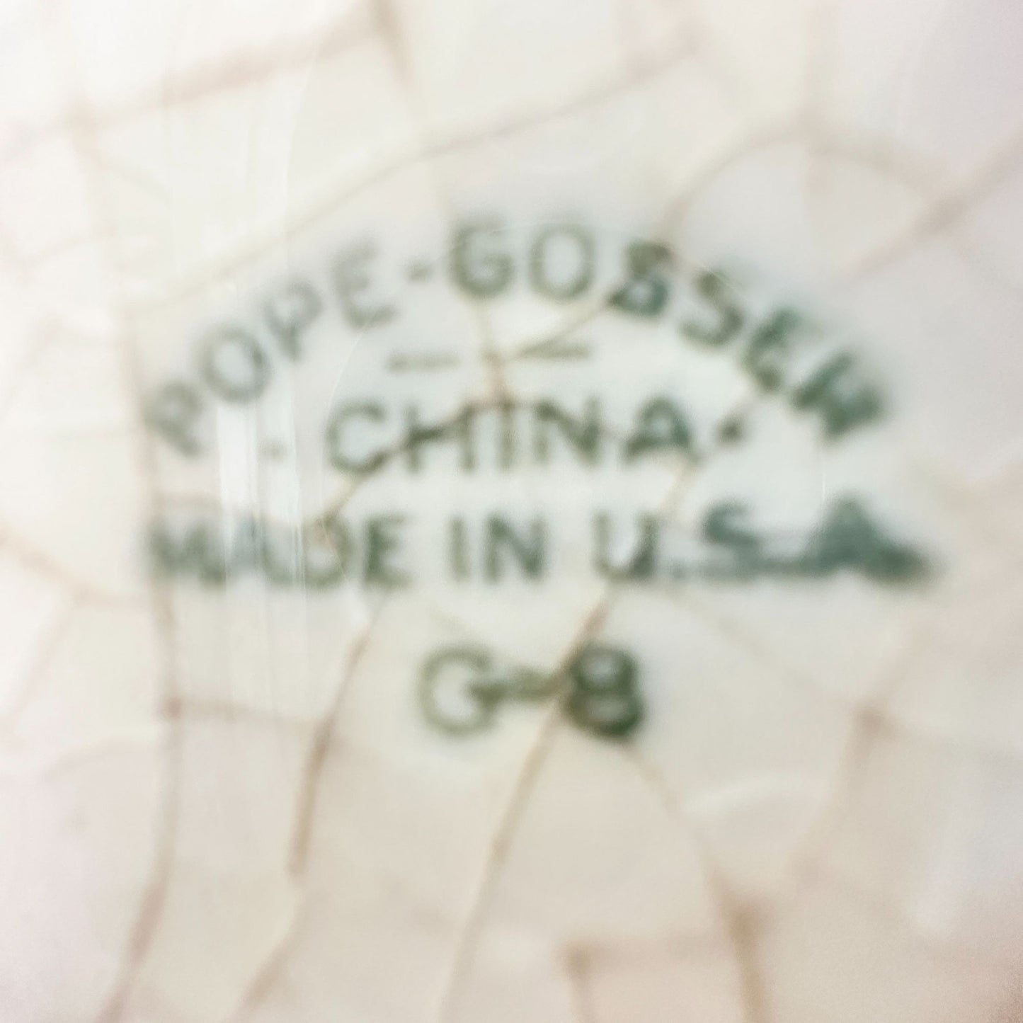 Pope Gosser Plate 8 inch Cream Gold Trim Pink Blue Flowers Made in USA Vintage