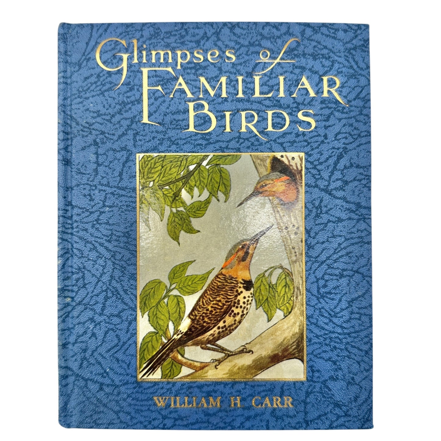 Glimpses Of Familiar Birds By William H. Carr 1931 Hardcover Illustrated