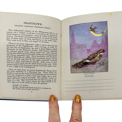 Glimpses Of Familiar Birds By William H. Carr 1931 Hardcover Illustrated