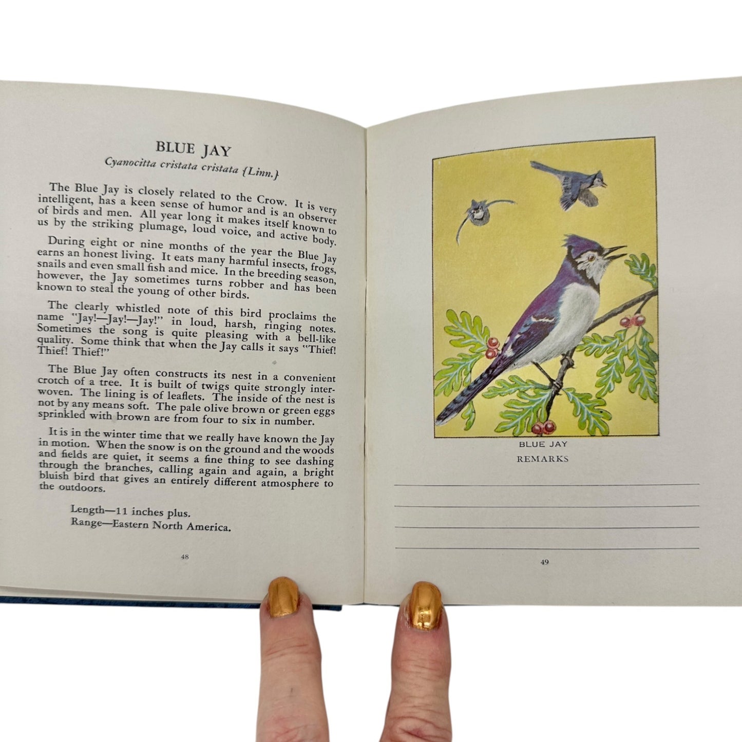 Glimpses Of Familiar Birds By William H. Carr 1931 Hardcover Illustrated