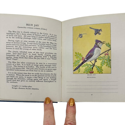 Glimpses Of Familiar Birds By William H. Carr 1931 Hardcover Illustrated