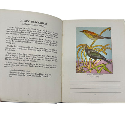 Glimpses Of Familiar Birds By William H. Carr 1931 Hardcover Illustrated