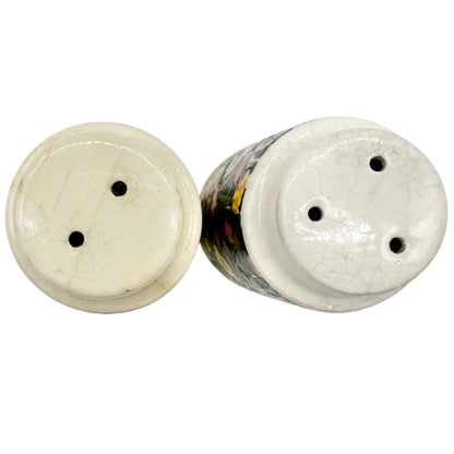 Vintage Design Ceramic Floral Salt and Pepper Shakers Black w Multicolor Flowers