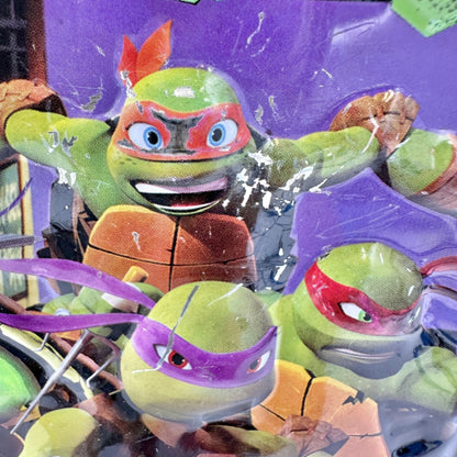Nickelodeon Teenage Mutant Ninja Turtles Metal Lunch Box With Green Handle