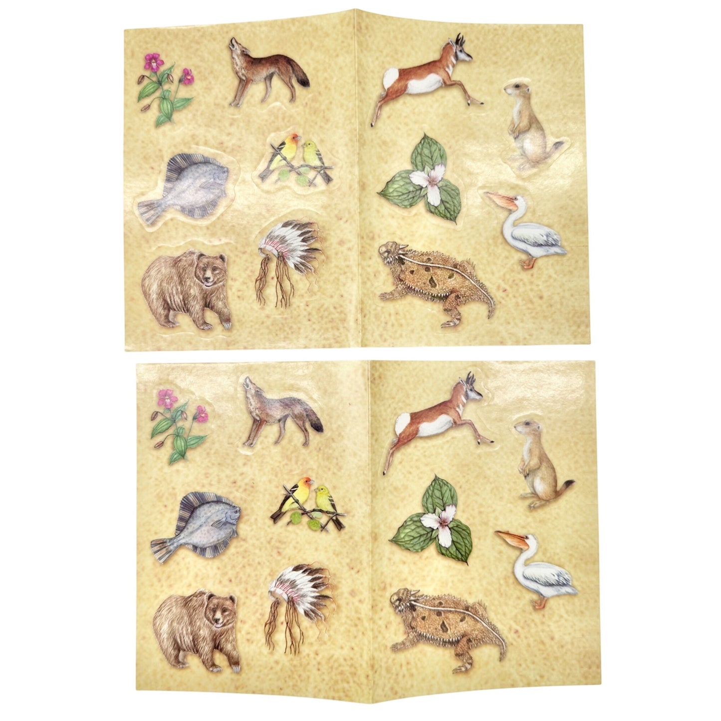 Lewis and Clark Exploration Card Game With Trail Map Poster and Stickers