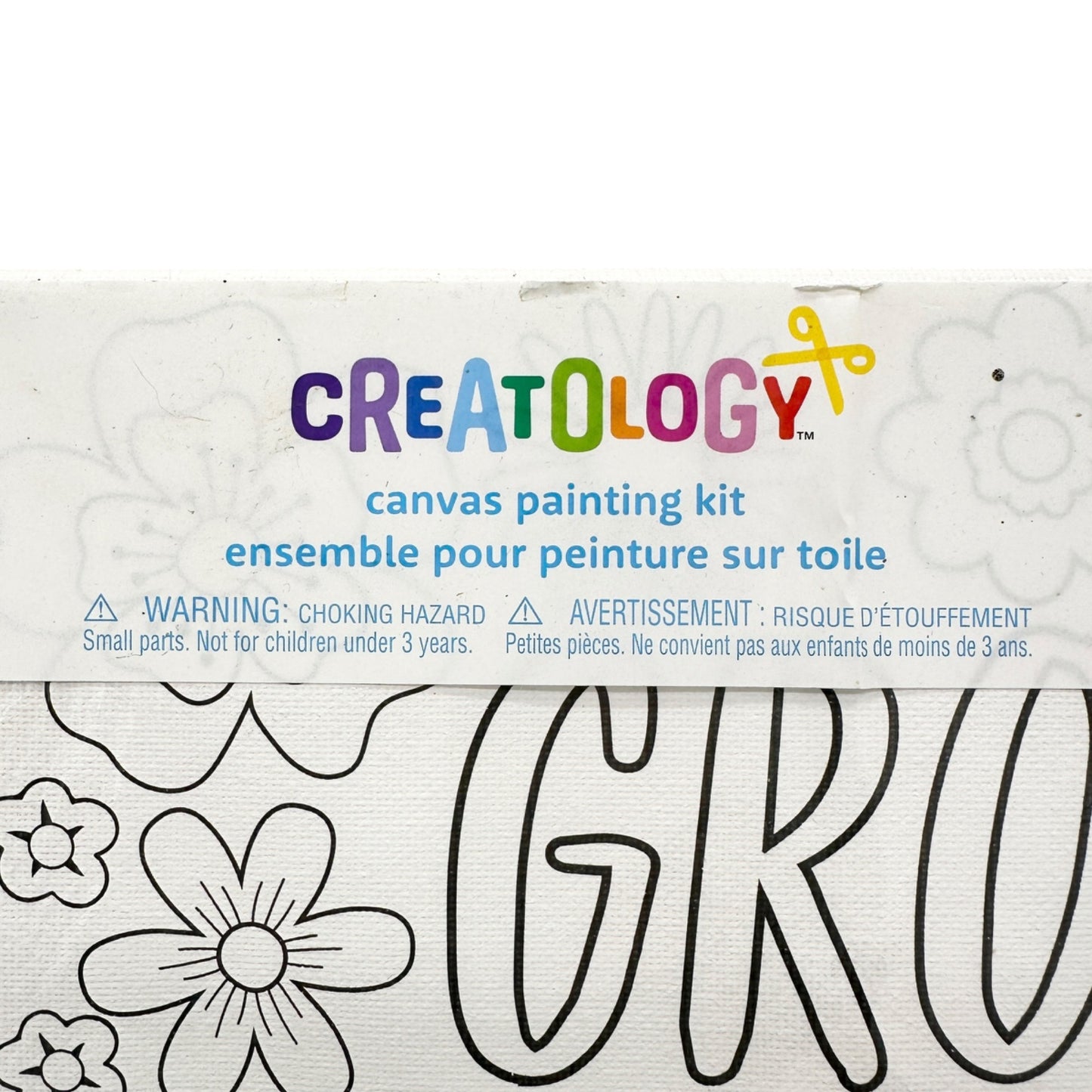 Creatology Canvas Painting Kit 10x10 Grow Your Own Way With Art Supplies NIP