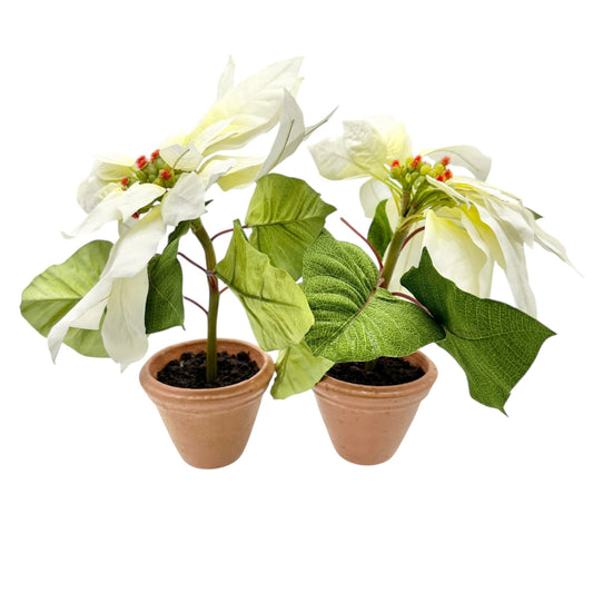 Pair of Faux White Poinsettia Plants In 3.5 inch Terracotta Pots 11 inches tall