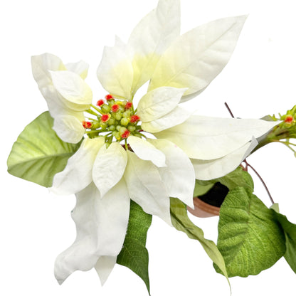 Pair of Faux White Poinsettia Plants In 3.5 inch Terracotta Pots 11 inches tall
